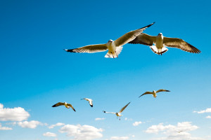 致敬!暗区突围选手用热爱与坚持,温暖了整个电竞圈