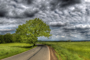 WRC官方辟谣！关于某车队解散传言，真相令人意外